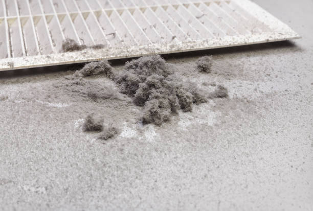 Best Affordable HVAC Duct Cleaning  in Port Gibson, MS
