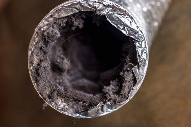 Best Emergency Air Duct Cleaning  in Port Gibson, MS